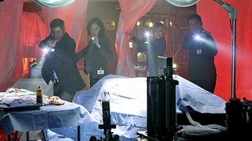 CSI: A helyszínelők 11. évad 21. epizód online