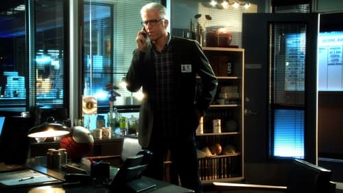 CSI: A helyszínelők 13. évad Törlesztés online