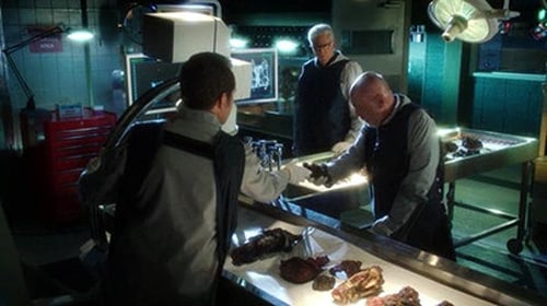CSI: A helyszínelők 13. évad Rázós bussiness-osztály online