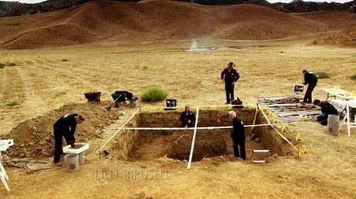 CSI: A helyszínelők 13. évad Lezáratlan ügy online