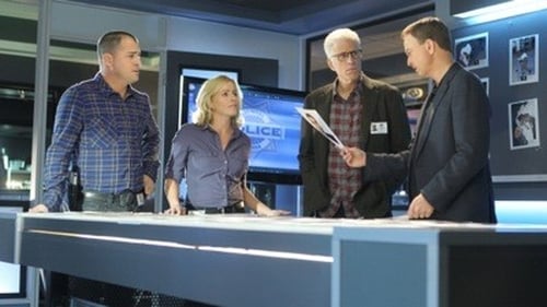 CSI: A helyszínelők 13. évad Borban az igazság online