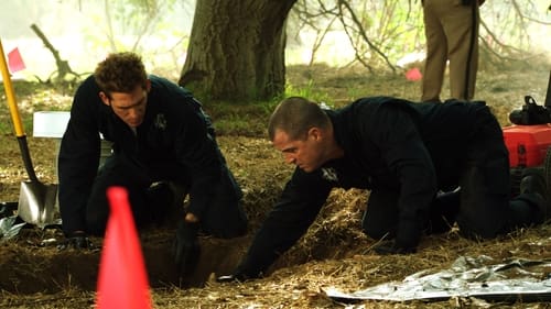 CSI: A helyszínelők 13. évad Kettős hiba online