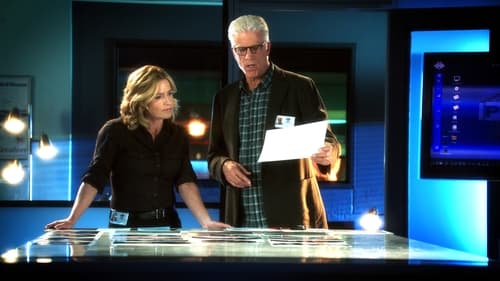 CSI: A helyszínelők 13. évad Az osztály krémje online
