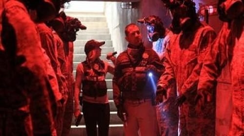 CSI: A helyszínelők 13. évad Óvd gyermekedet online