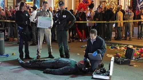 CSI: A helyszínelők 14. évad Fogd a pénzt és fuss! online