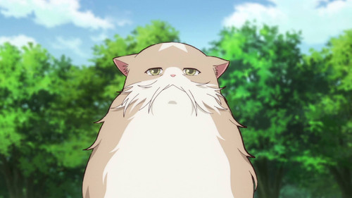 猫と竜 1. évad 6. epizód online