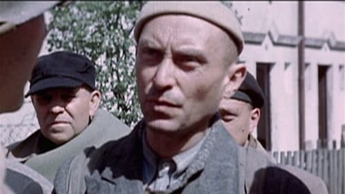 WWII in HD 1. évad 9. epizód online