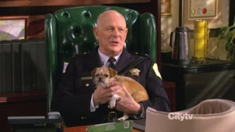 Mike és Molly 3. évad 18. epizód online