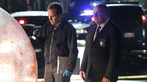 CSI: A helyszínelők 14. évad Tehetetlenség online