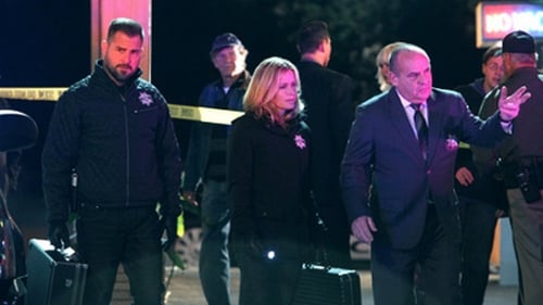 CSI: A helyszínelők 14. évad A 114-es szoba titka online