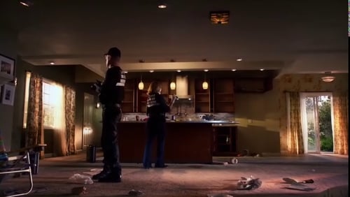 CSI: A helyszínelők 14. évad Váratlan vendég online