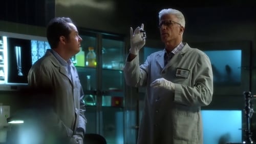 CSI: A helyszínelők 14. évad Cicus online