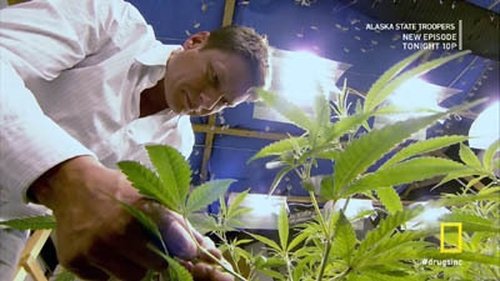 Drugs, Inc. 4. évad 11. epizód online