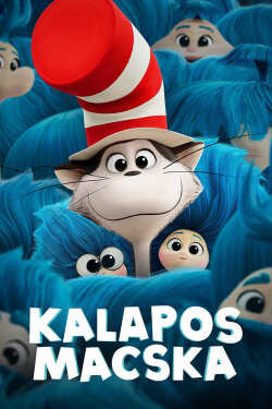 Kalapos macska