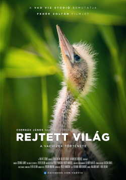 Rejtett világ - A vadvizek története poszter
