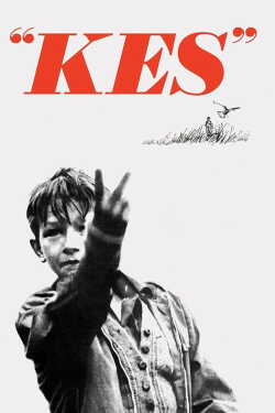 Kes poszter