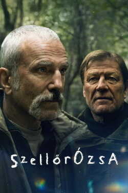 Szellőrózsa poszter