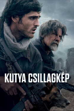 Kutya csillagkép