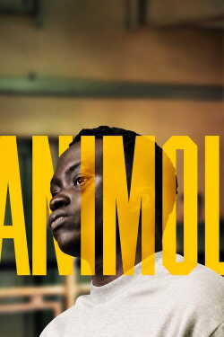 Animol poszter