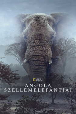 Angola szellemelefántjai