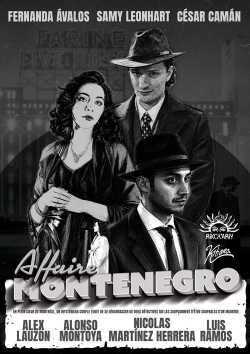 The Montenegro Affair