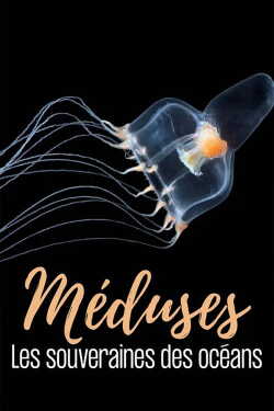 Jellyfish, The new Rulers of the Ocean poszter