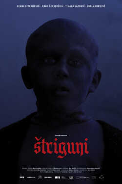 Striguni poszter