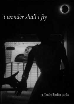 i wonder shall i fly online