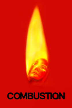 Combustion