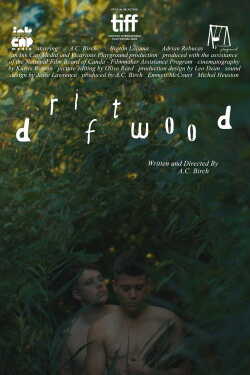 Driftwood poszter