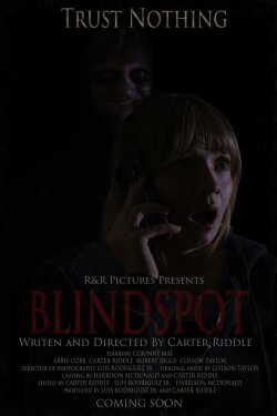 BLINDSPOT poszter