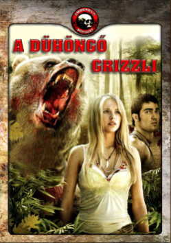 A dühöngő grizzli poszter