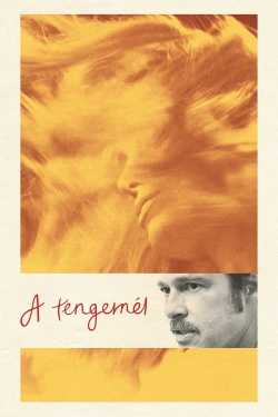 A tengernél film online