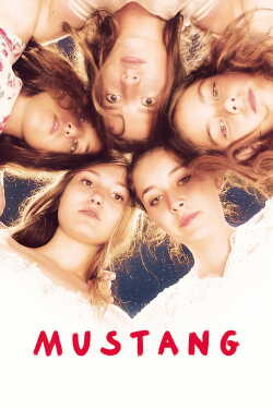 Mustang poszter