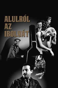 Alulról az ibolyát poszter
