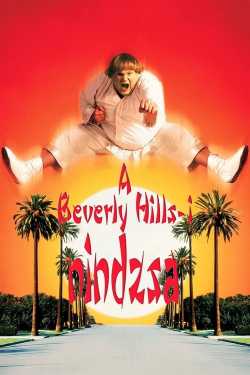 Beverly Hills-i nindzsa film online