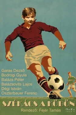 Székács a köbön poszter