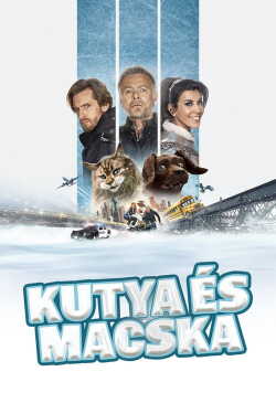 Kutya és macska poszter
