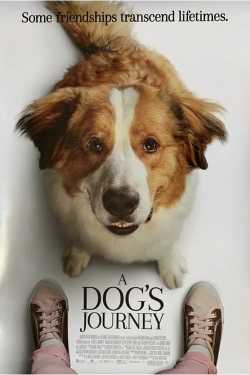 Egy kutya négy útja teljes film