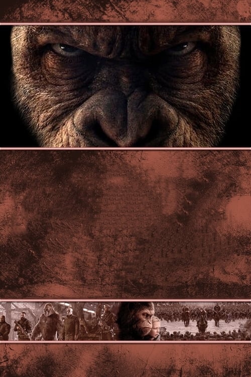 A majmok bolygója: Háború teljes film