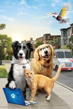 Kutyák és macskák 3. - A mancs parancs teljes film