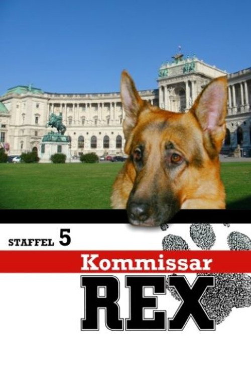 5. évad