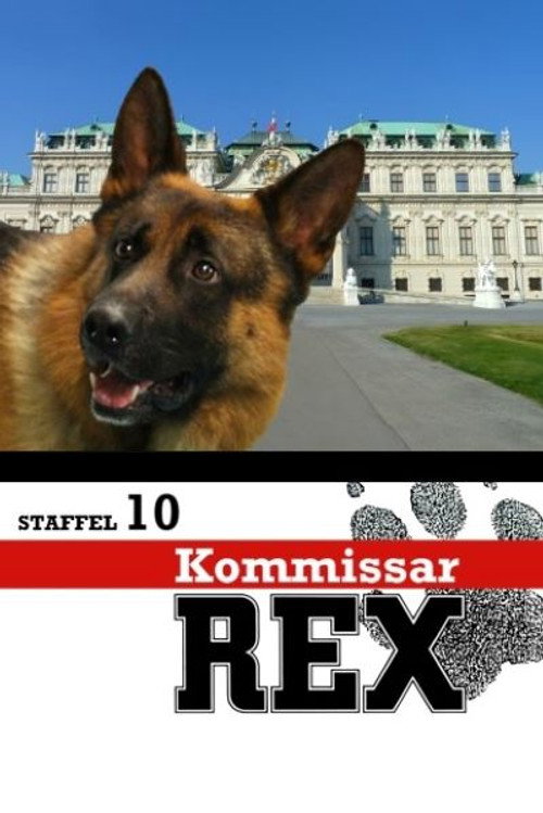 10. évad