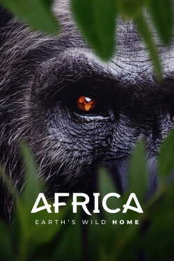 Afrika: A Föld vad otthona poszter