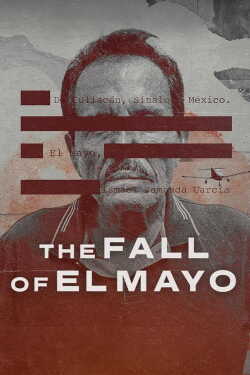 The Fall of El Mayo