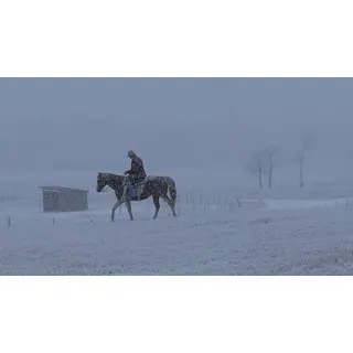 Heartland