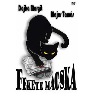 Fekete macska poszter