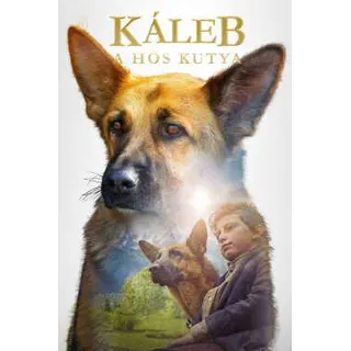 Káleb, a hős kutya poszter