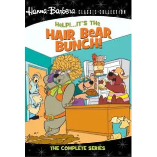 Help!... It's the Hair Bear Bunch! poszter
